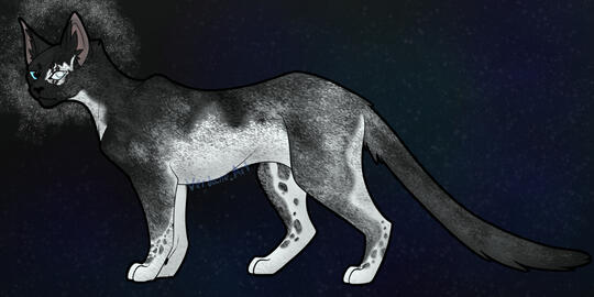 Mooneye Mooneye